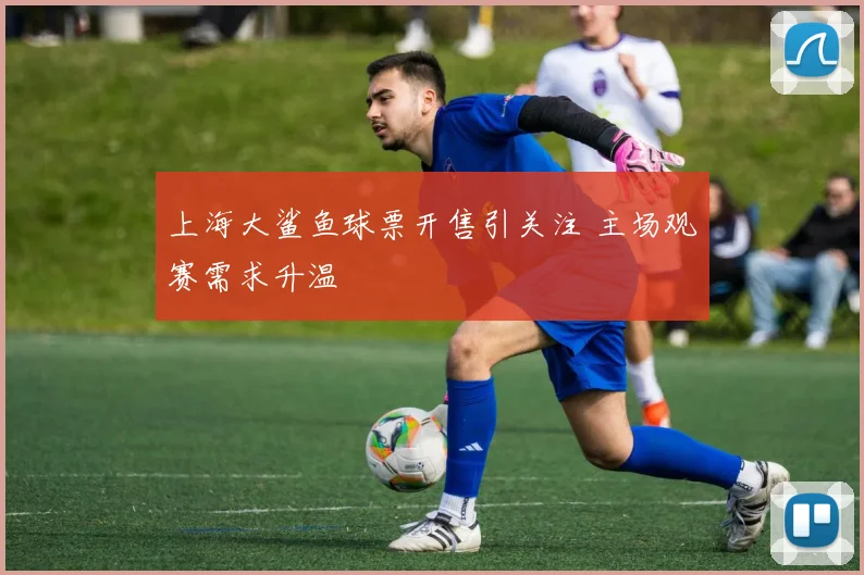 上海大鲨鱼球票开售引关注 主场观赛需求升温